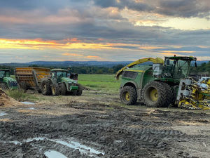 Meet your Posher, Cole